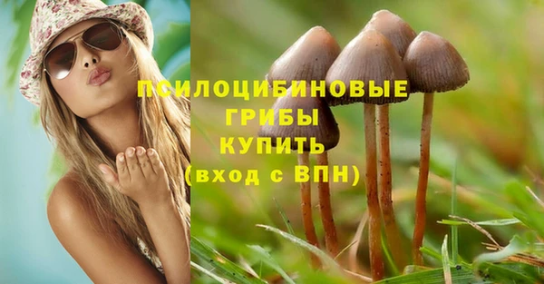 спиды Алзамай