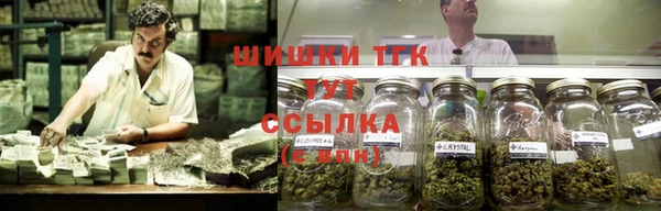 спиды Алзамай